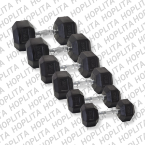 Mancuerna Hexagonal (2,5 a 35 Kg)
